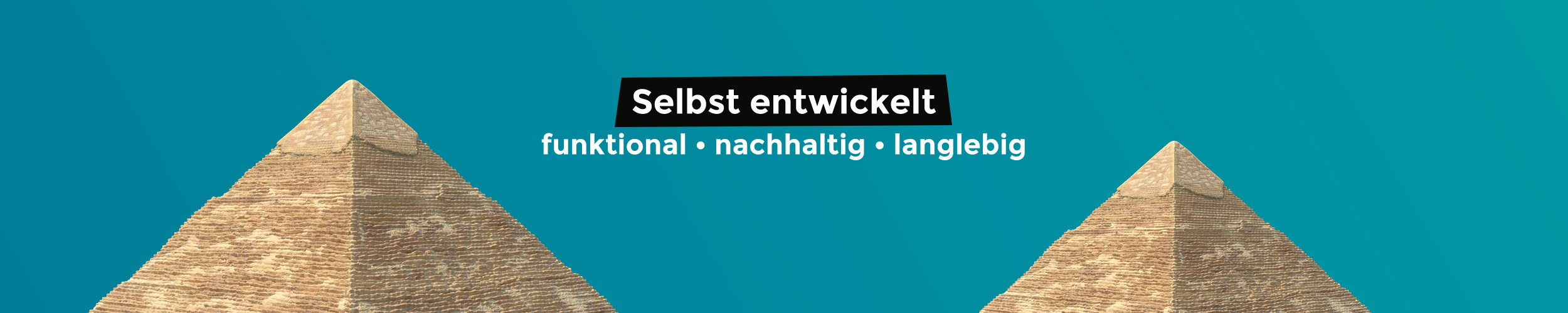 Individuelle Webentwicklung erfüllt die Bedürfnisse Ihres Unternehmens und Ihrer Kunden!