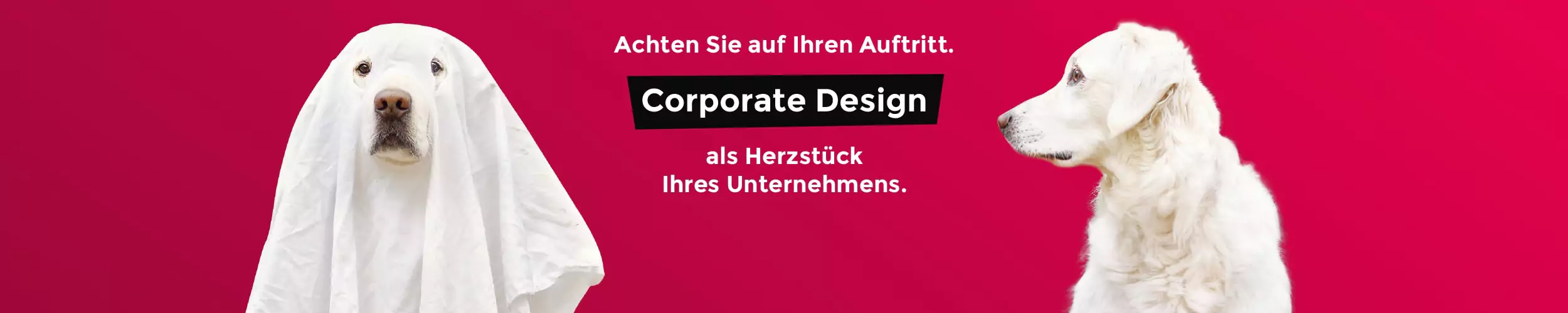 purpix - Corporate-Design