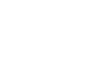 Schönreiter